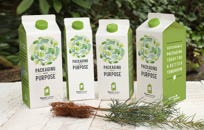 Committed to Sustainability